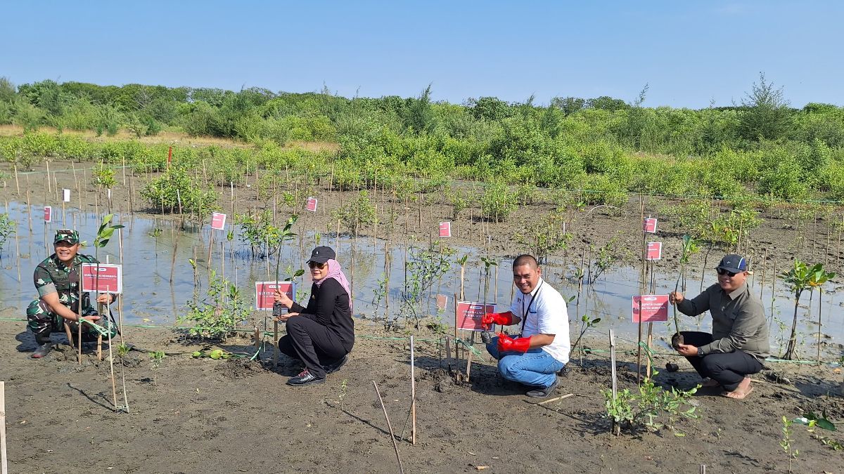 Aksi PNM Peduli Serahkan Sumur Bor Untuk Warga Indramayu Dan Tanam Mangrove Rhizophora