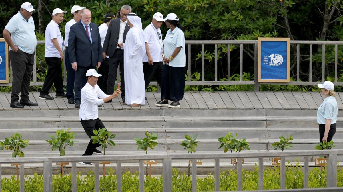 FOTO: Momen Jokowi Jadi Fotografer Dadakan untuk Delegasi KTT World Water Forum di Hutan Mangrove Tahura Bali