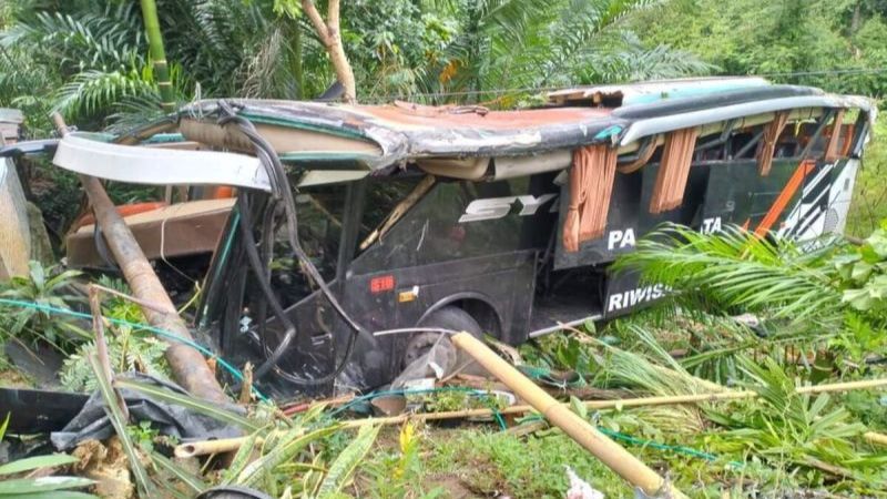 Bus Rombongan Study Tour Pelajar SD Kecelakaan & Masuk Jurang di Lampung, Ini Kronologinya