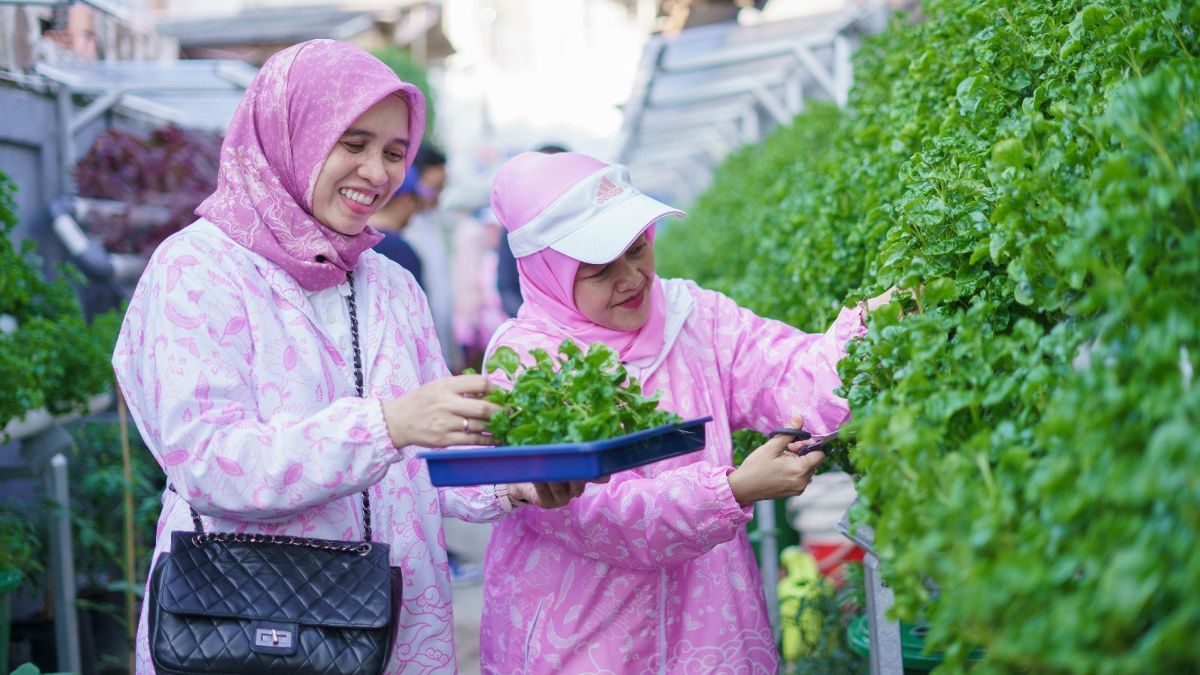 BRInita, Kelompok Dasawisma Pisang di Palembang Sulap TPS Liar Jadi Urban Farming Bernilai Ekonomis