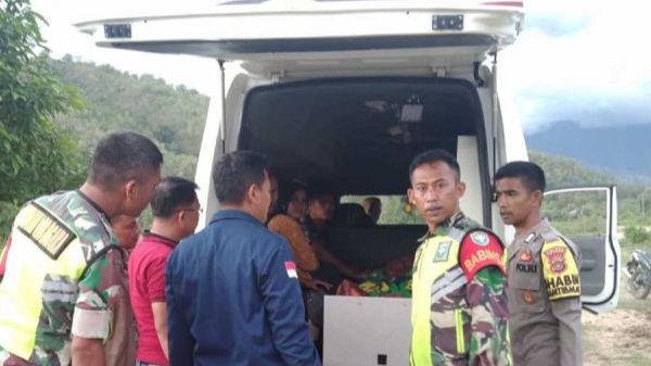 Detik-Detik Menegangkan Petani Aceh Diserang Kawanan Gajah Hingga Tewas di Tempat