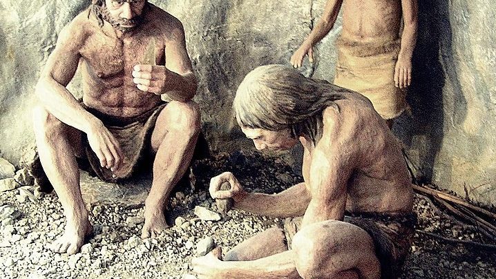 Benarkah Neanderthal Adalah Leluhur Kita? Ketahui Perbedaannya dengan Homo Sapiens