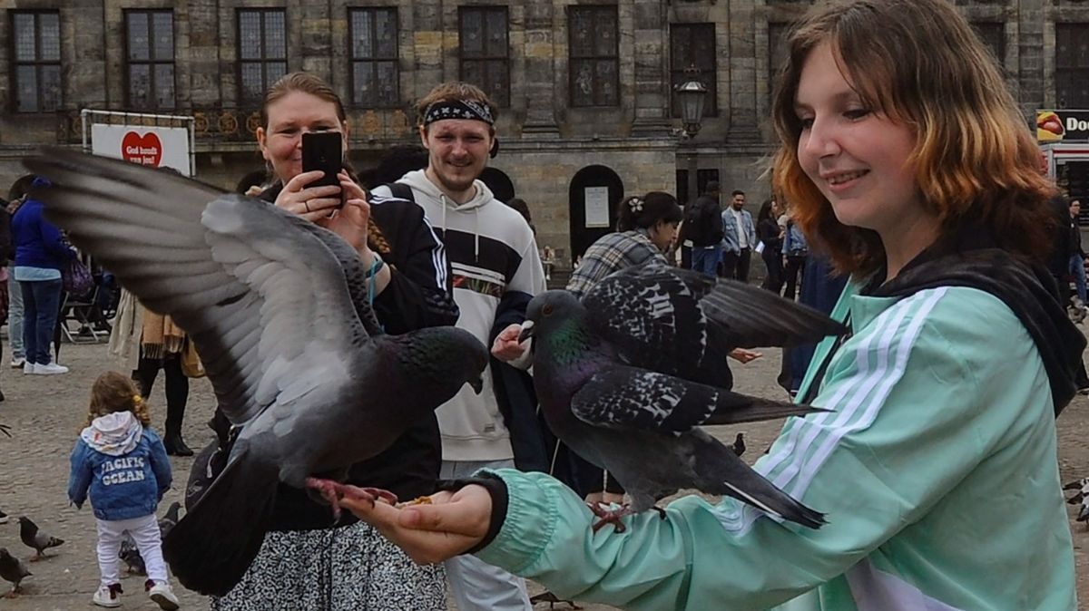 FOTO: Serunya Akhir Pekan Berinteraksi dengan Ribuan Merpati di Dam Square, Amsterdam