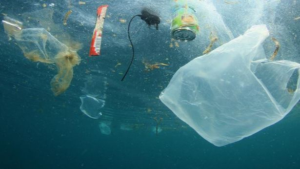 Awas Bahaya Plastik Bagi Kesehatan, Ternyata Miliki Dampak Serius Bagi Tubuh