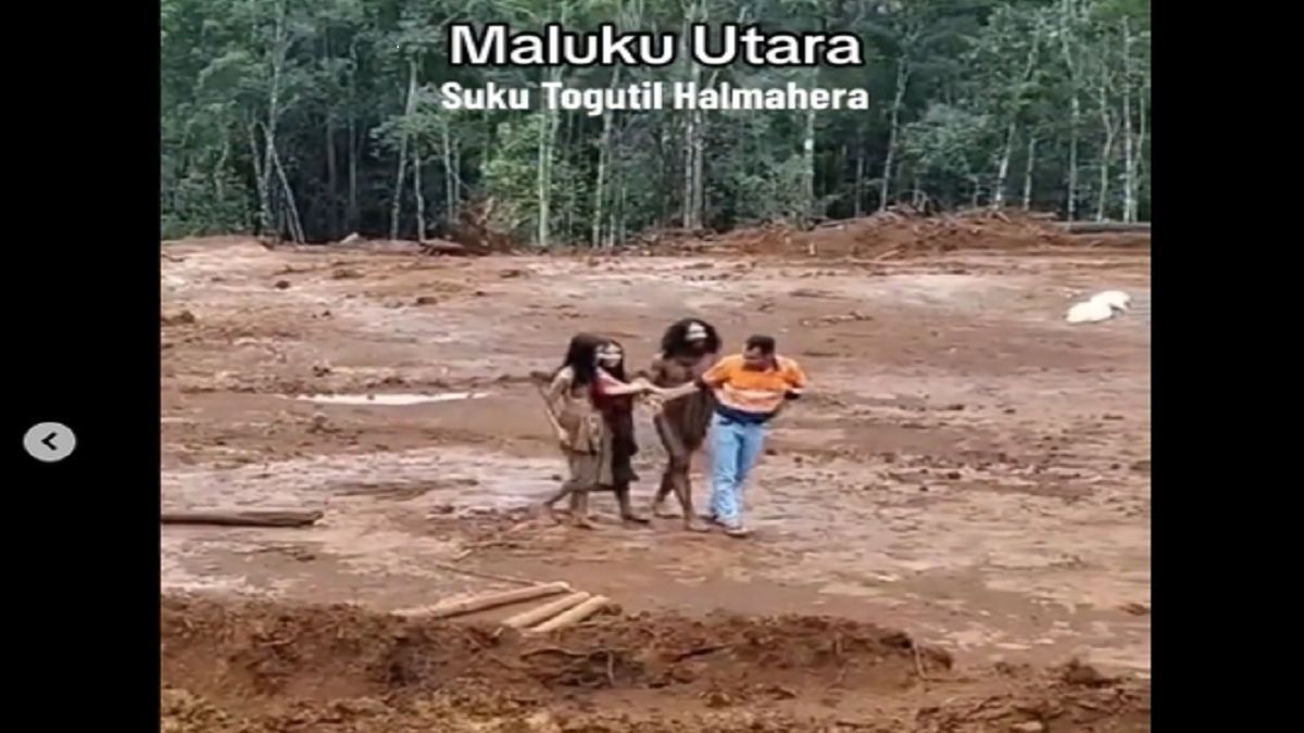 Momen Langka, Suku Togutil Datangi Para Pekerja di Hutan, Langsung Diajak Makan Bersama