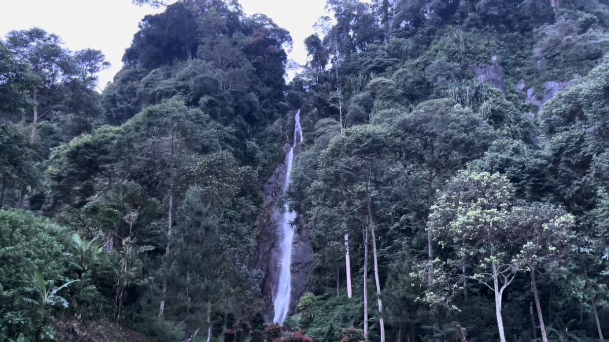 Jadi Hidden Gem di Jonggol, Intip Indahnya Curug Cibeureum yang Hijau dan Dikelilingi Kabut