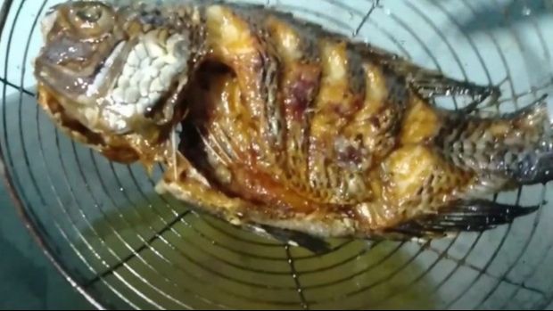 Bukan Pakai Jahe, Ini Trik Goreng Ikan Biar Bebas dari Bau Amis