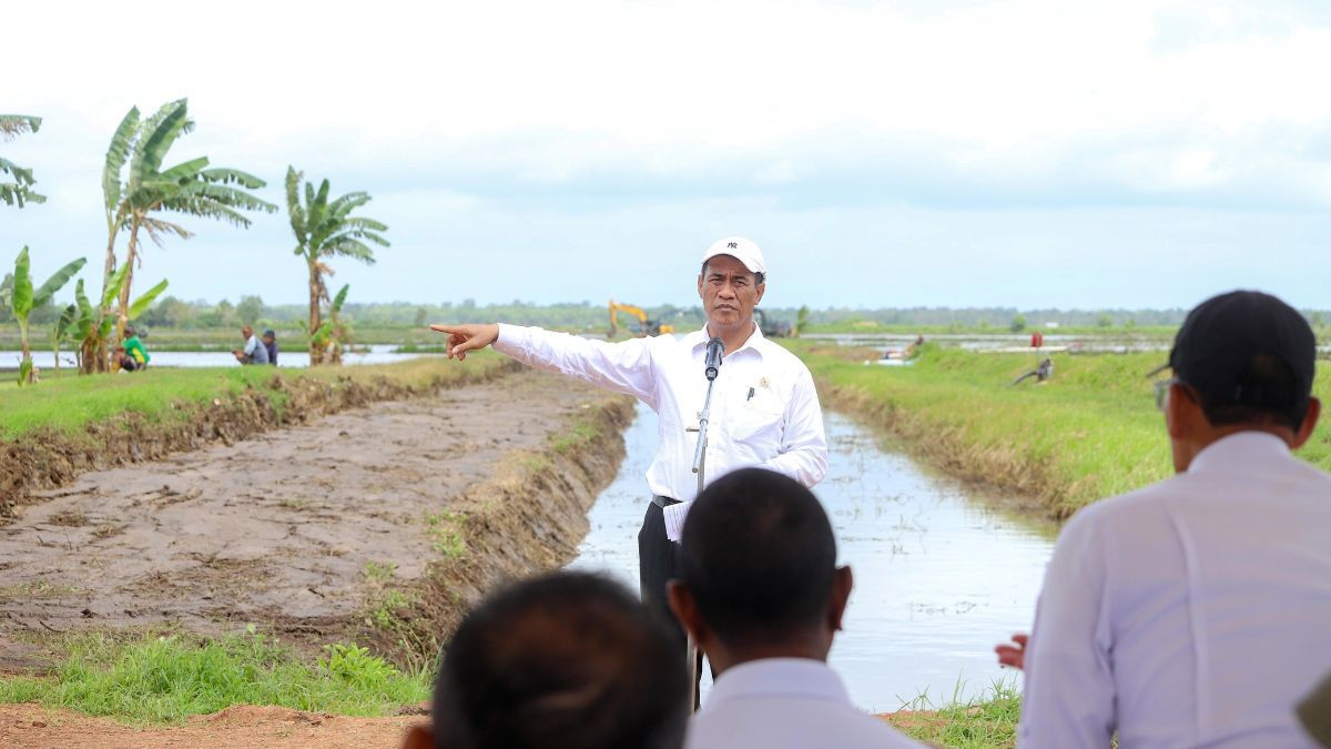 Percepat Merauke Jadi Lumbung Pangan, Mentan Maksimalkan Teknologi