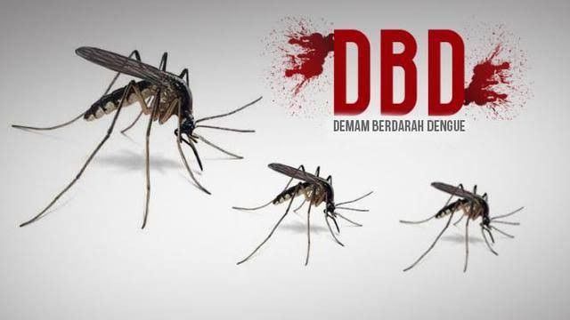 Kemenkes: Penyintas Covid-19 yang Kena DBD Tak Muncul Bintik Merah, Tapi Demam Tak Reda hingga 10 Hari