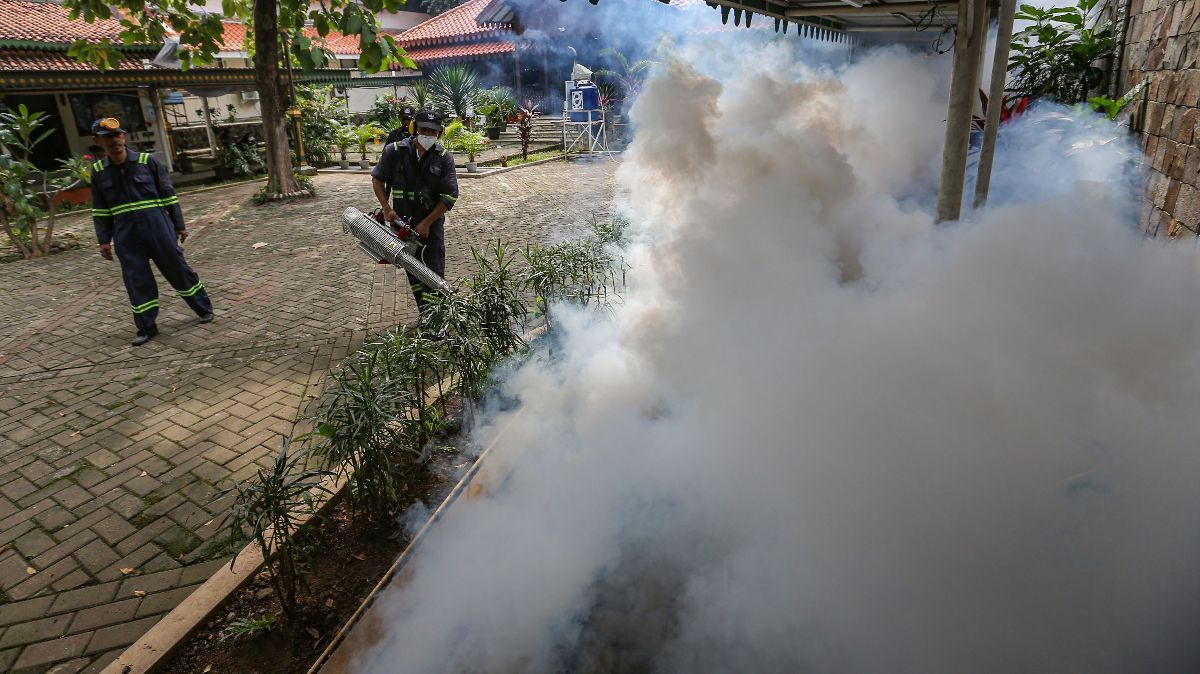 Gejala DBD Berubah pada Penyintas Covid-19, Sejauh Apa Bahayanya?