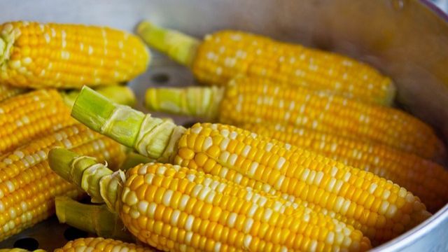 6 Fakta tentang Jagung yang Jarang Diketahui, Warna Beragam hingga Biji Genap