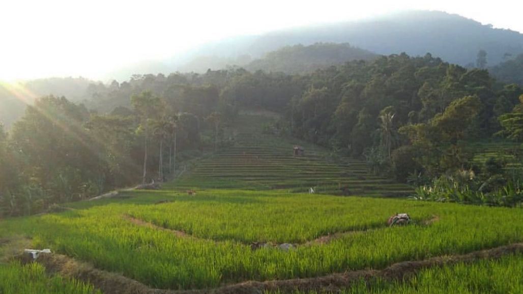 Ada Tempat Bertapa Para Leluhur, Ini Fakta Menarik Gunung Rajabasa di Provinsi Lampung