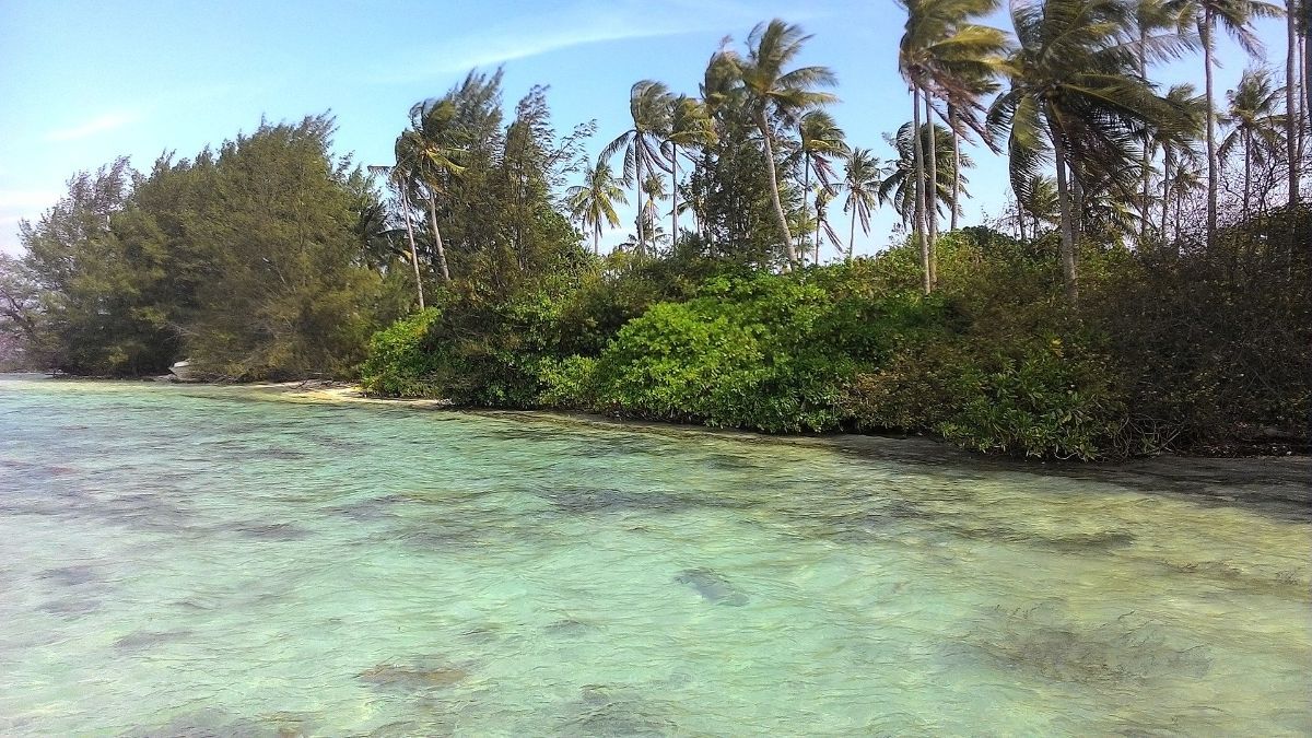 Mengunjungi Pulau Menjangan Kecil, Surga Bawah Laut di Kepulauan Karimunjawa