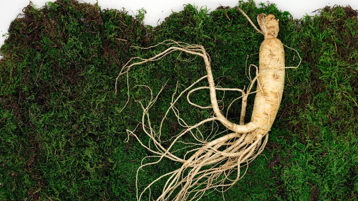 8 Manfaat Ginseng untuk Rambut, Bantu Atasi Ketombe