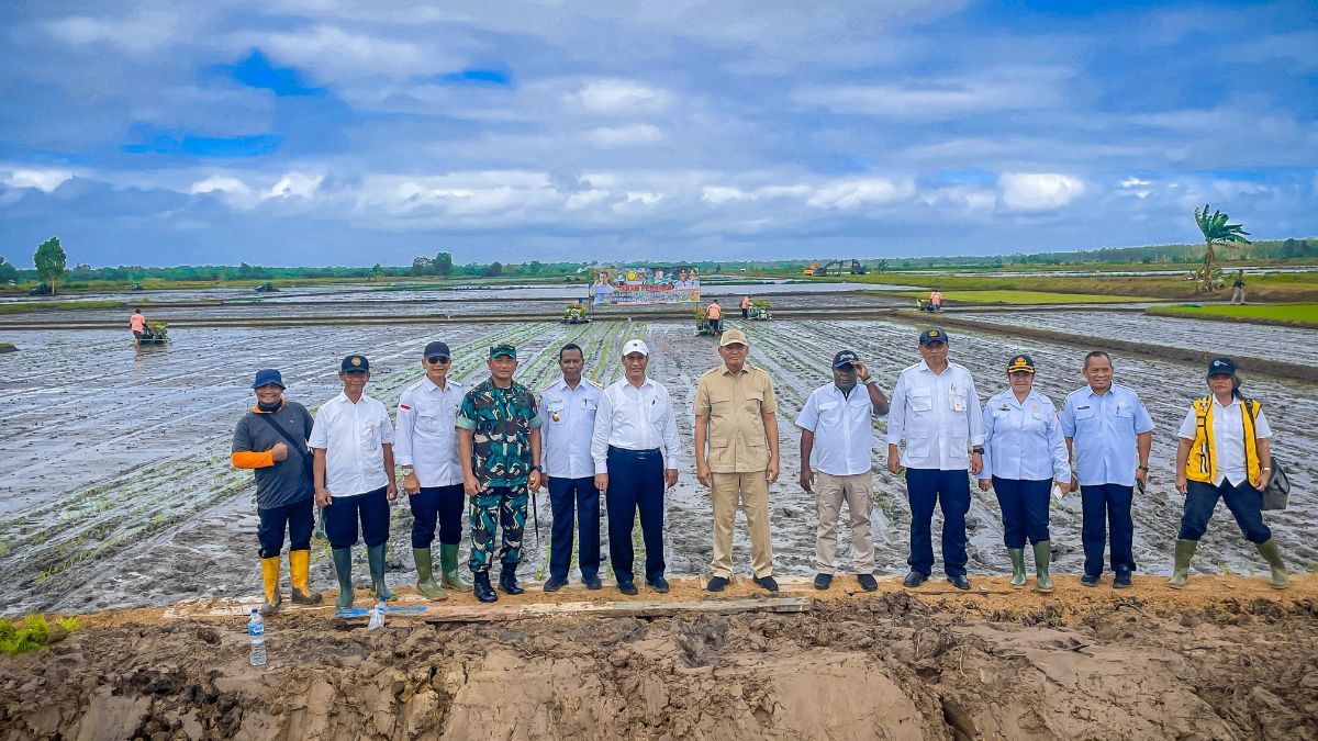 Kementan Arahkan Merauke Jadi Penyedia Pangan Melalui Opla