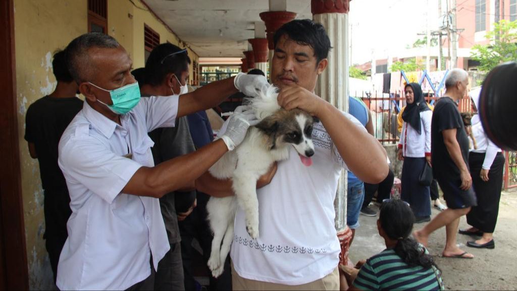 Ogah Disuntik Vaksin Rabies Usai Digigit Anjing, Bocah 6 Tahun di Empat Lawang Meninggal