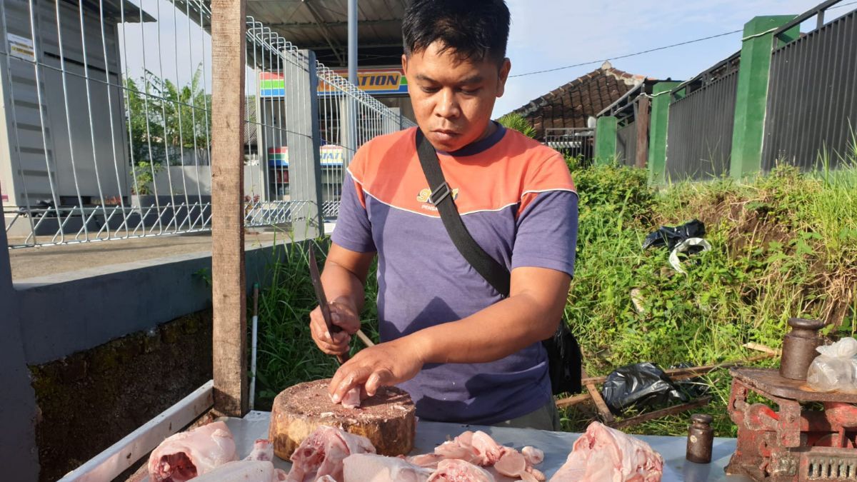 Pedagang Ayam Skala Kecil Wajib Punya Sertifikat Halal Mulai Oktober 2024, Begini Cara Mudah Mengurusnya