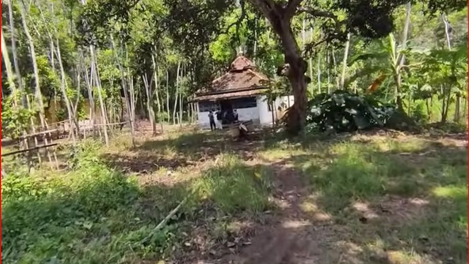 Kisah Kampung Mati Petir di Batang, Desa Tak Berpenghuni Menyimpan Banyak Cerita Horror