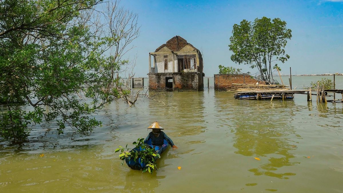 FOTO: Semangat Wanita Mangrove Tetap Bertahan di Rumahnya yang Dikelilingi Laut