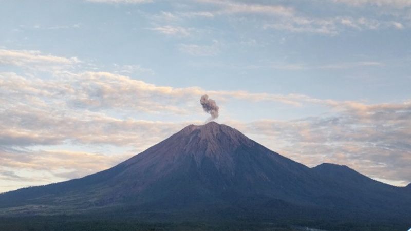 Gunung Semeru Kembali Erupsi, Letusan Mencapai 800 Meter