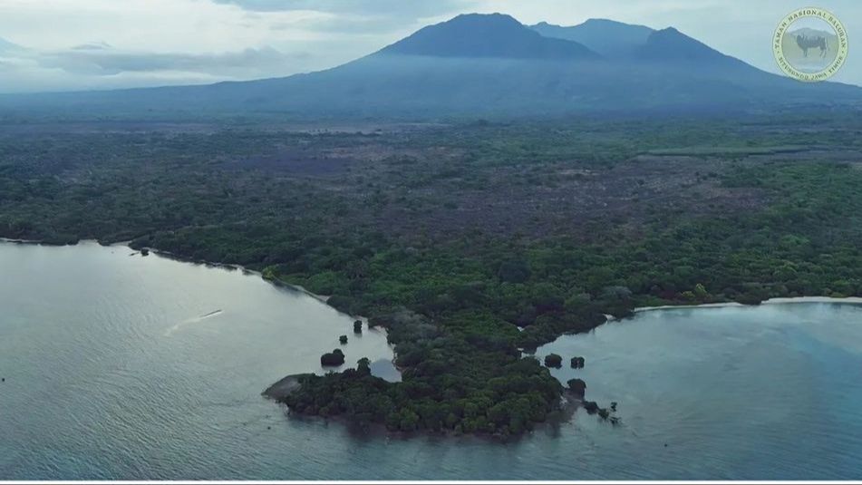 Tak Boleh Dikunjungi Wisatawan, Intip Eksotisme Kawah Baluran yang Bikin Peneliti Eropa Jatuh Cinta