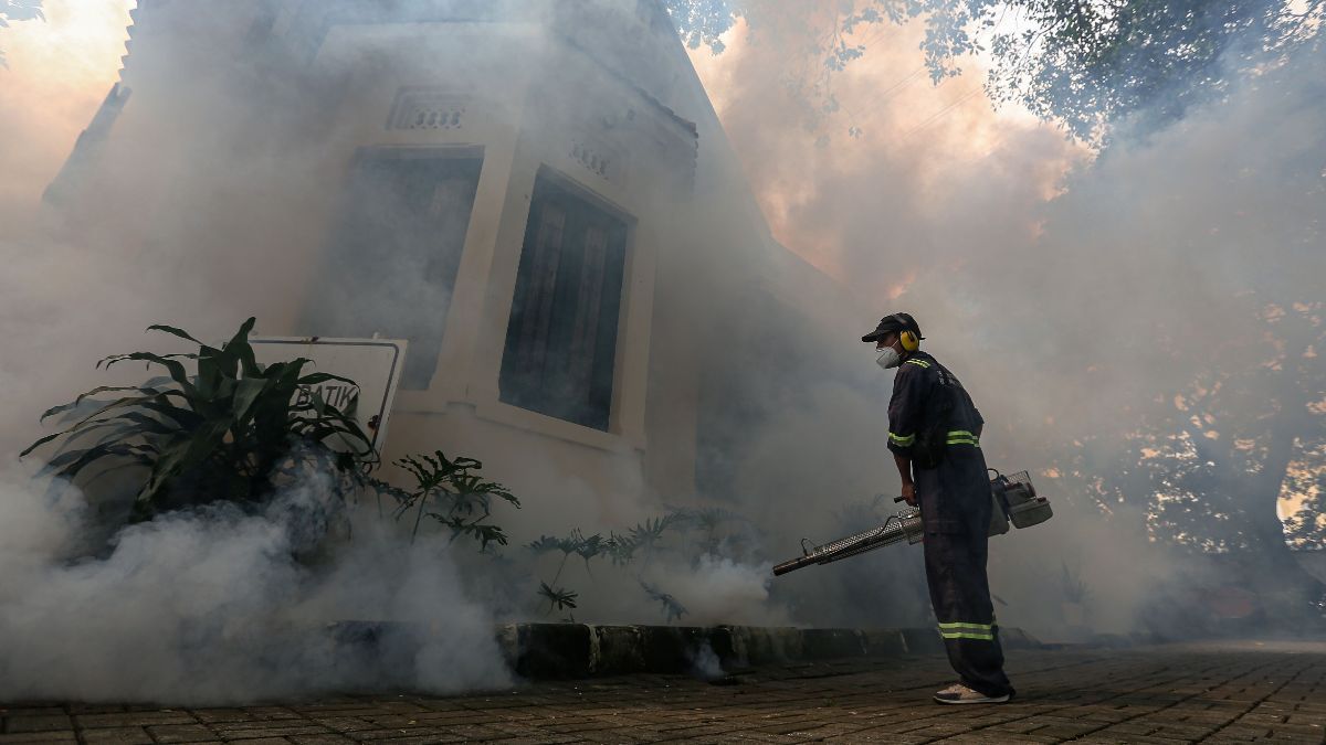 Tiga Anak Pasien DBD di Situbondo Meninggal Dunia