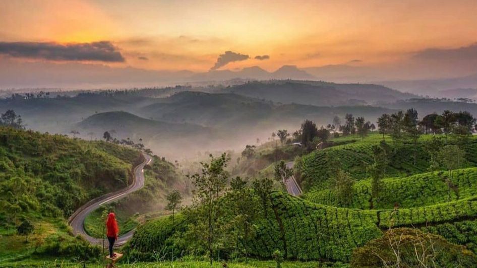 11 Tempat Wisata Pangalengan, Penuh dengan Panorama Alam Memukau