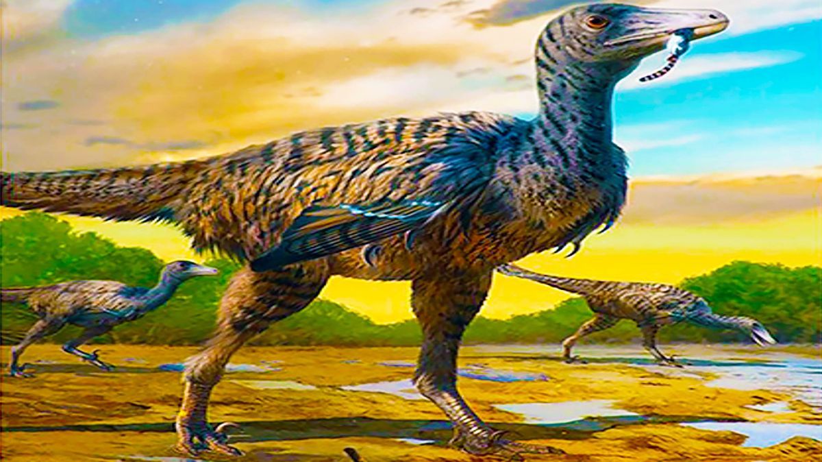 Ahli Paleontologi Temukan Jejak Dinosaurus di China, Diduga Raptor Terbesar di Bumi