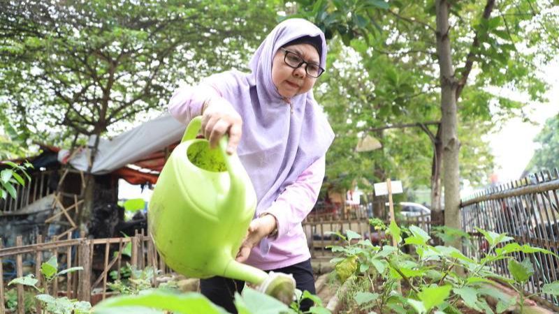 Kisah Emak-Emak di Nusa Jaya Tangerang Tanam Sayur di Lahan Kosong, Bantu Pangan Warga di Tengah Mahalnya Bahan Pokok