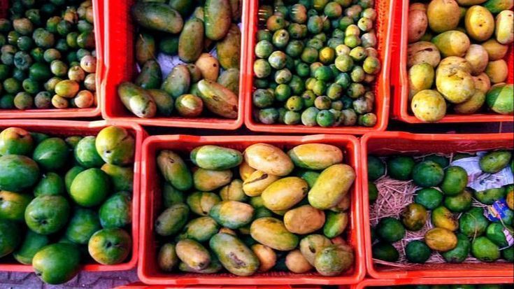 8 Negara yang Punya Produksi Mangga Terbanyak di Dunia, Indonesia Masuk dalam Daftar