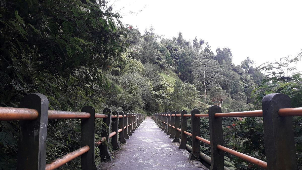 15 Wisata Merapi Yogyakarta yang Wajib Dikunjungi, Banyak Pilihannya