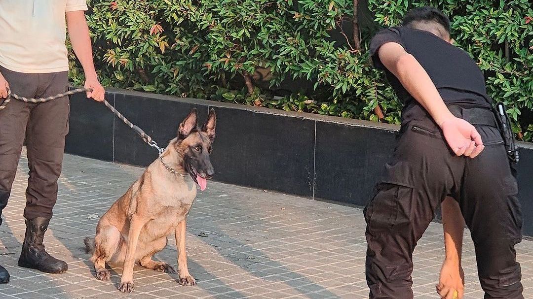 VIDEO: Viral Ribut Pendapat Soal Aksi Sekuriti Pukul Anjing di Plaza Indonesia Berujung Dipecat