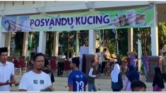 Viral Posyandu Kucing di Lamongan, Fasilitas Lengkap Ada Timbangan hingga Petugas Khusus