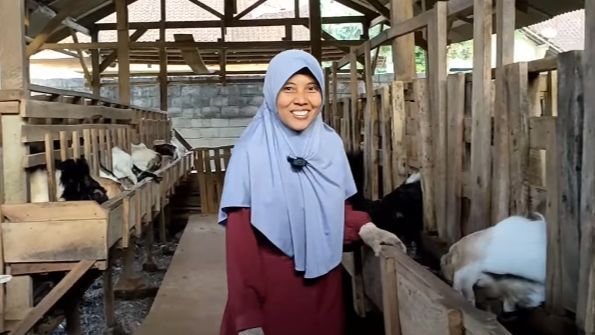 Modal Rp4 Juta, Ibu Ini Sukses Berternak Kambing Bisa Kuliahkan Anak di Poltekkes