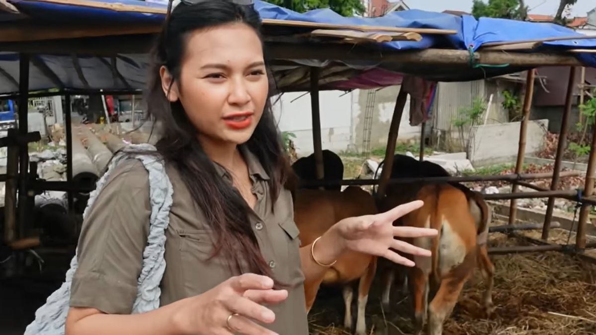 Indah Permatasari Istri Arie Kriting Buka Usaha Hewan Sapi 'Saya Sekarang Jadi Juragan Sapi'