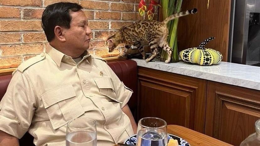 Gerindra Sebut Prabowo dan Gibran Rutin Bertemu