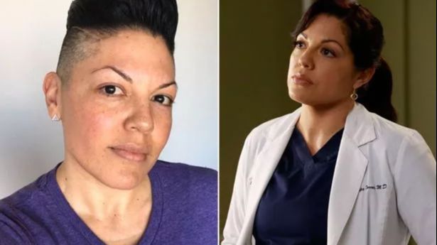 Sara Ramirez, 'Grey's Anatomy' Star, Files for Divorce 3 Years After ...