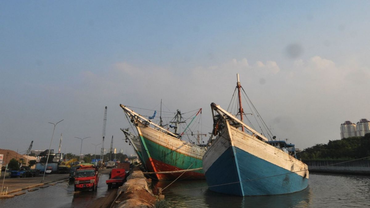 Ternyata, Ini Penyebab Ikan Indonesia Susah Masuk Pasar Uni Eropa