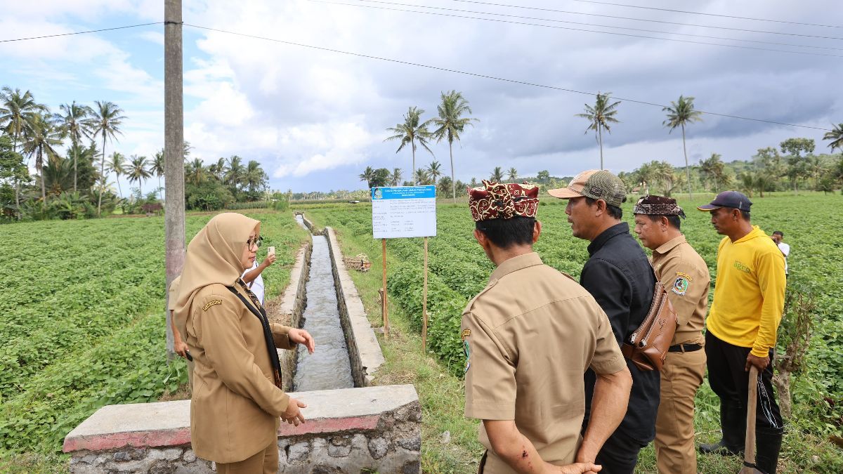 Banyuwangi Bangun dan Revitalisasi 123 Km Jaringan Irigasi dengan Skema Padat Karya