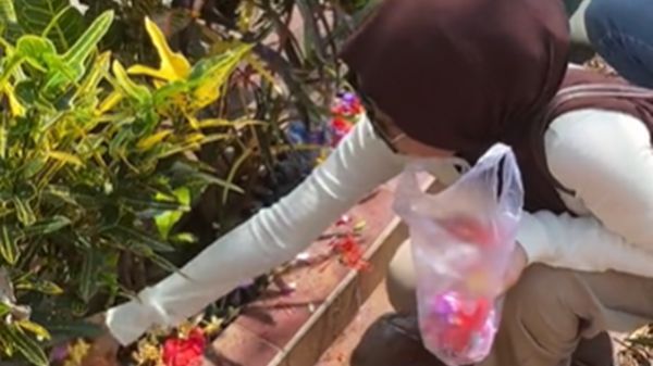 Baru Tahu Anak Adopsi di Usia 25 Tahun, Momen Wanita Datang ke Rumah Ortu Kandungnya Ini Banjir Air Mata