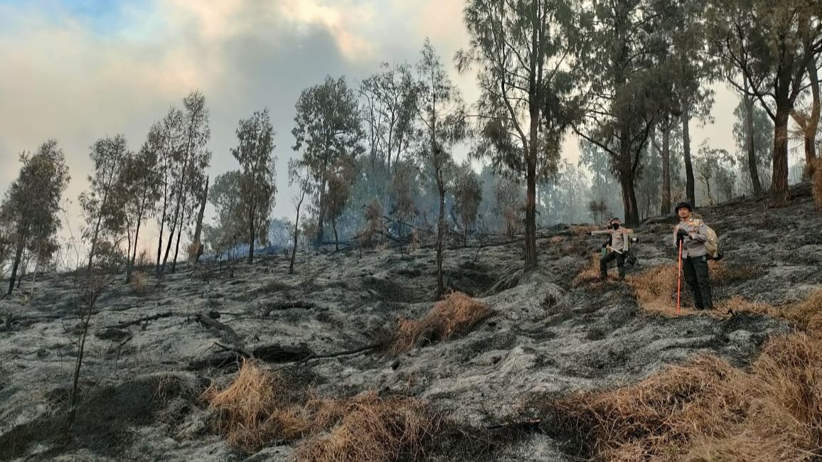 Pendakian Gunung Arjuno Dibuka Lagi Setelah Setahun Ditutup, Dibatasi 400 Pendaki