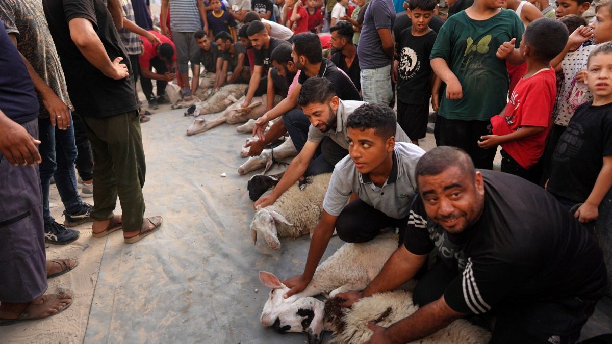 FOTO: Di Tengah Kekhawatiran Serangan Israel, Warga Palestina di Gaza Rayakan Iduladha dengan Berkurban Domba