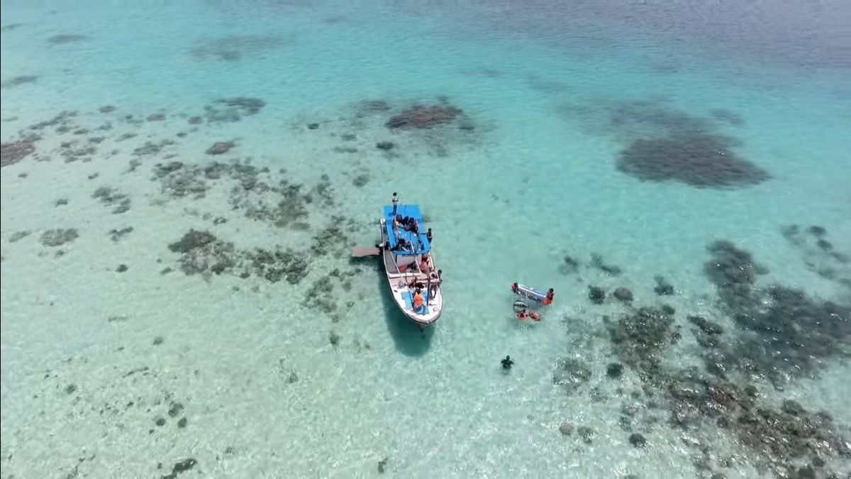 Menilik Keindahan Bawah Laut Indramayu, Punya Surga Tersembunyi yang Wajib Dikunjungi