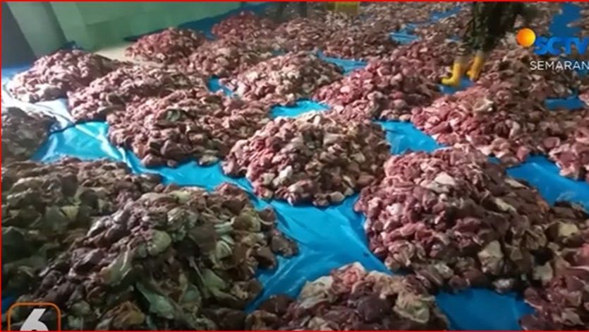 Kisah Para Petani di Banjarnegara Menabung Rp10.000 Per Hari Demi Kurban Massal, Terkumpul 74 Sapi dan 293 Kambing