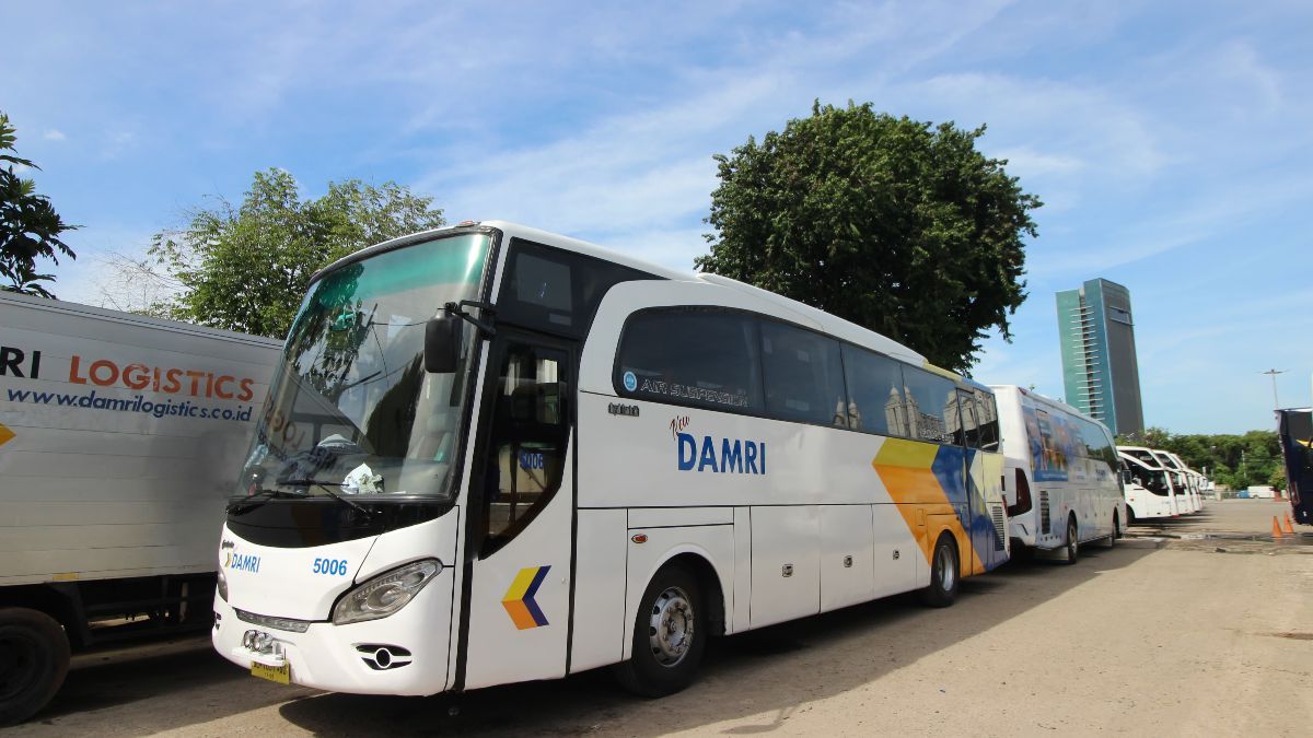 Damri Buka Lowongan Kerja Sopir buat SMA, SMK