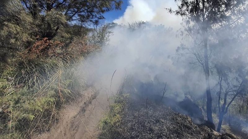 Savana Bromo Kembali Kebakaran, Api Belum Padam Sejak Selasa Malam