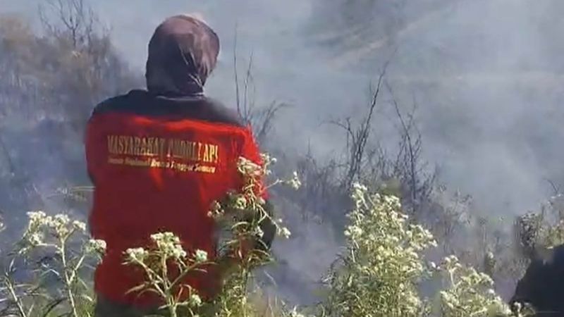 Setelah Belasan Jam, Karhutla di Savana Bromo Tengger Semeru Padam