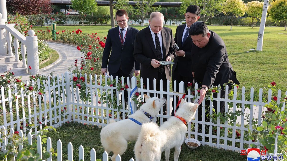 FOTO: Lucunya Sepasang Anjing Pungsan yang Dihadiahkan Kim Jong-un kepada Putin