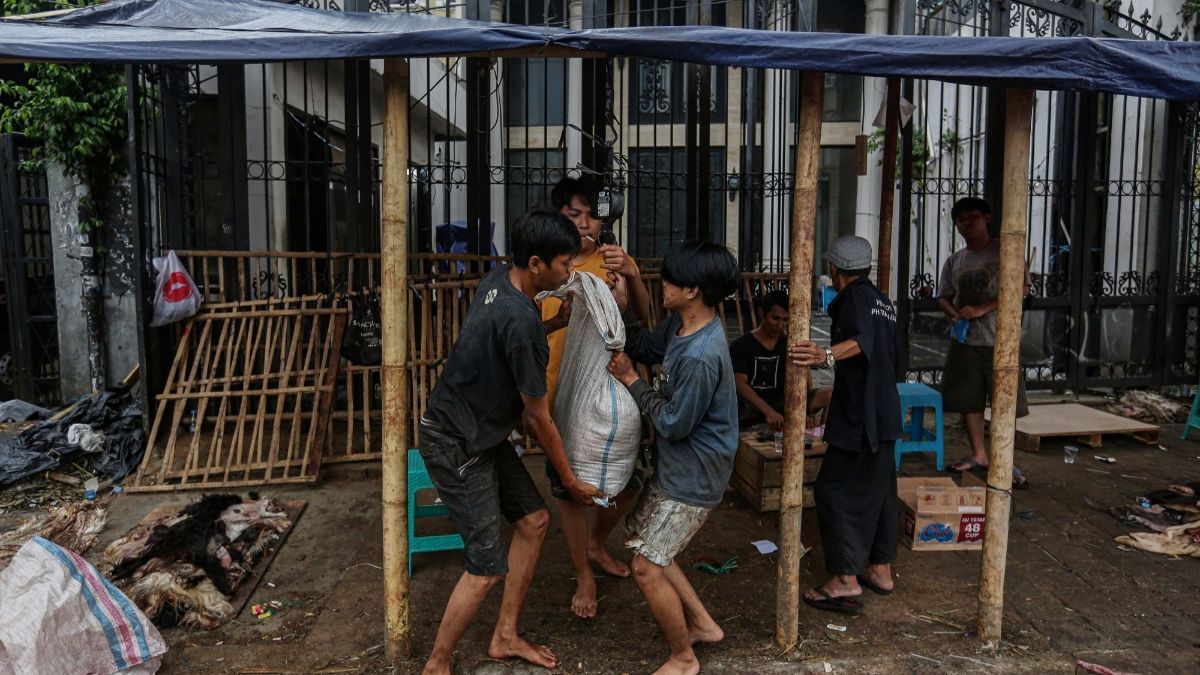 Makna Idul Adha Sarat Nilai Kemanusiaan Berbagi Kebahagian, Bukan Pamer Hewan Kurban