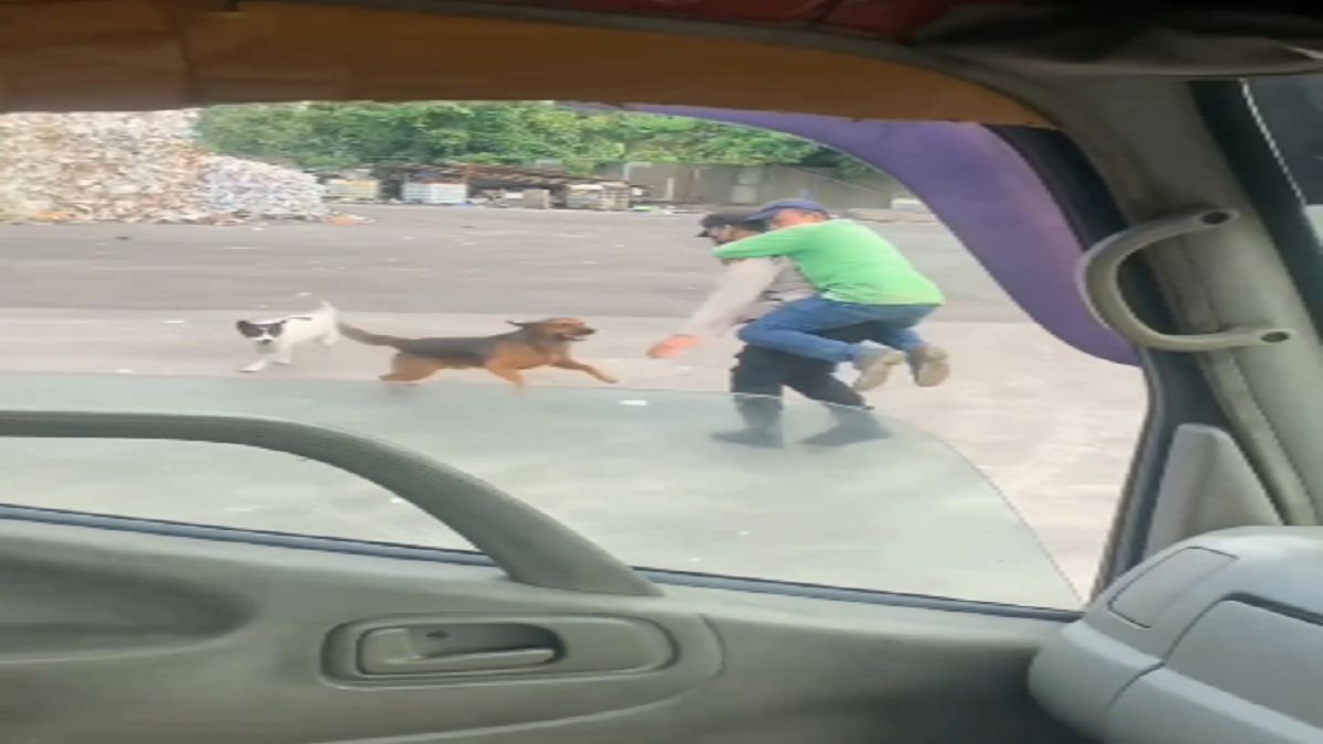 Sosok Pak Satpam ini Jadi Pahlawan Seorang Pria Diserang Anjing, Korban Sampai Nemplok Digemblok Bak Anak Kecil